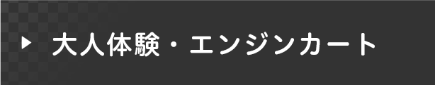 大人体験・エンジンカート 