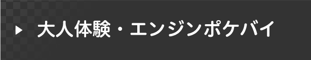 大人体験・エンジンポケバイ 